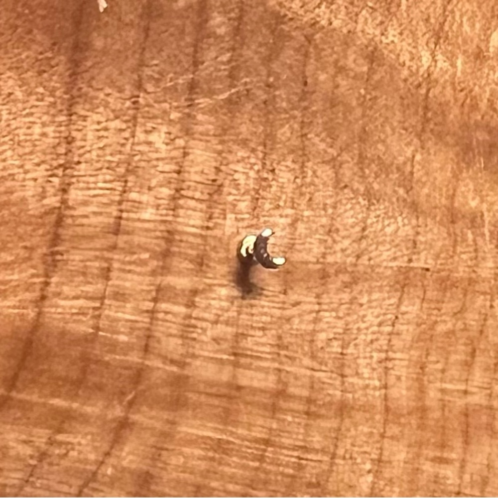 Custom made 14 karat yellow gold crescent moon nose ring. A bit too small for me